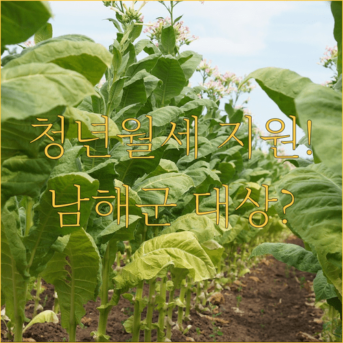 남해군 청년월세 지원 대상과 신청 방법 한눈에 보기