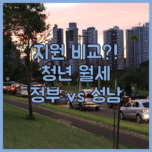 정부와 성남시 청년 월세 지원 차이 비교