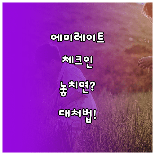 에미레이트항공 온라인체크인 시간 놓치면 이렇게 대처