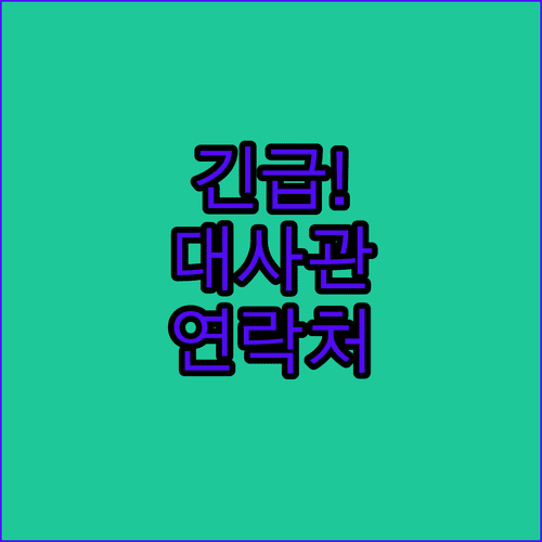 투르크메니스탄 대사관 연락처와 긴급 전화번호 한눈에 보기