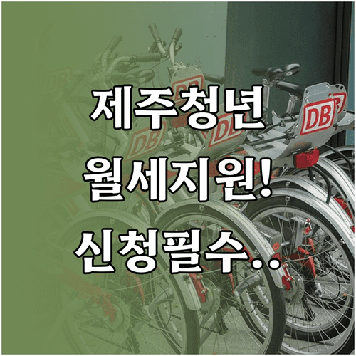 2026 제주 청년월세 지원 조건과 신청 기간