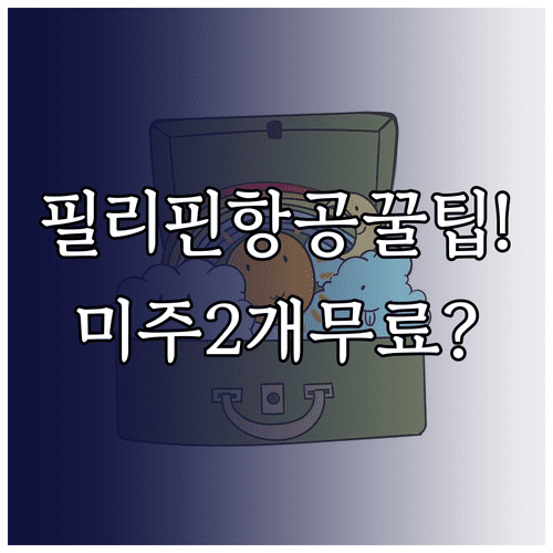 미주 노선은 2개 무료 필리핀항공 수하물 규정 한눈에 보기