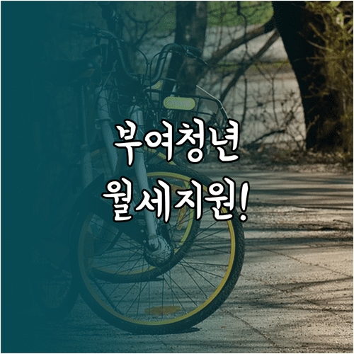 부여군 청년월세지원 2026 소득 기준과 신청 절차