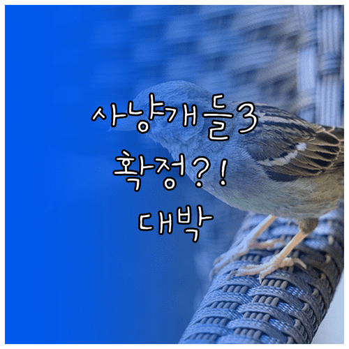 사냥개들 시즌3 제작 확정 여부와 출연진 정보