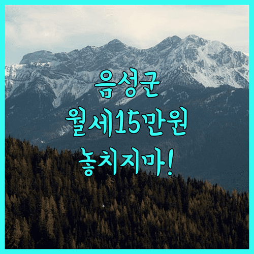 음성군 청년월세 15만원 지원 대상 및 신청 기간 정리