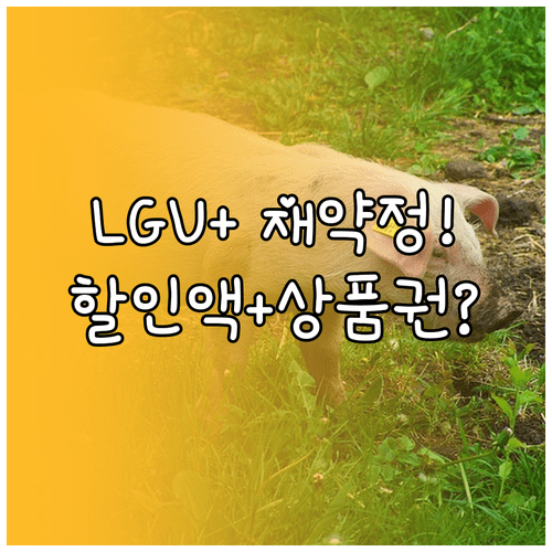 image 077d4b01