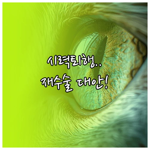 image 2c9aaa26