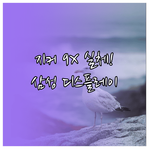 지커 9X 뒷좌석에서 즐기는 삼성디스플레이 기술 기반 엔터테인먼트