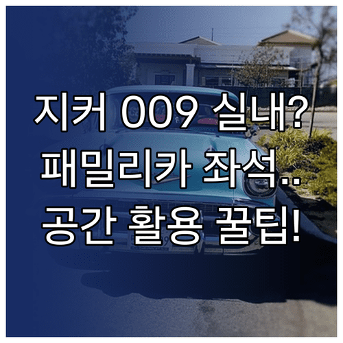 패밀리카 지커 009 좌석 배치와 실내 공간 활용 정보