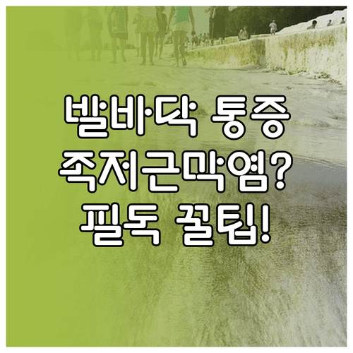 image 42ed9d6d