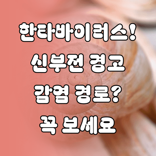 급성 신부전 일으키는 한타바이러스 감염 경로와 특징