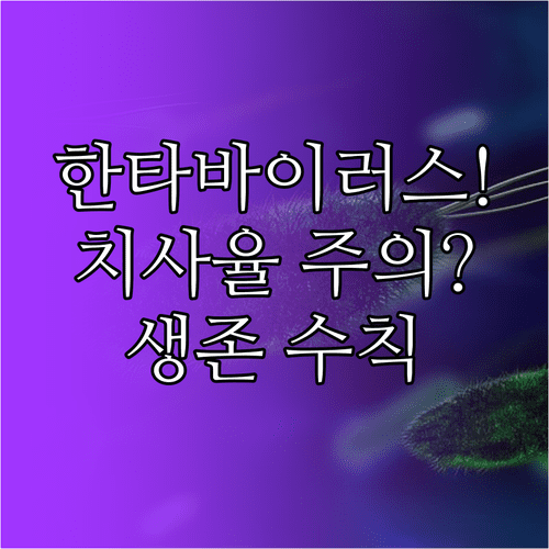 한타바이러스 핵심 정보 | 감염 경로, 단계별 증상, 예방 수칙