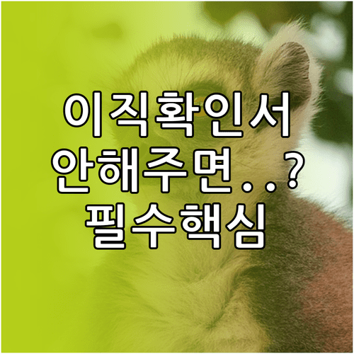 image d981a558