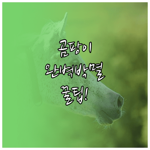 image e35c1515
