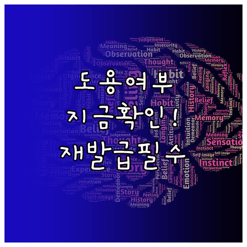 개인통관고유부호 도용 여부 확인 및 재발급 절차