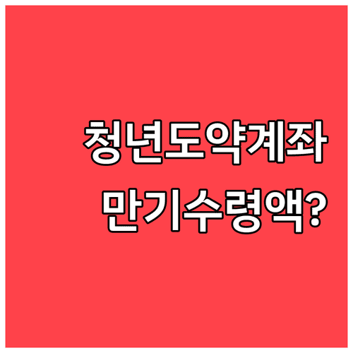 청년도약계좌 만기 수령액이 달라지는 조건과 확인 방법