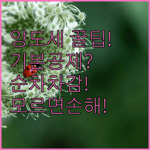 양도소득세 기본공제 동일 그룹 내 순차 차감 원칙과 주의사항