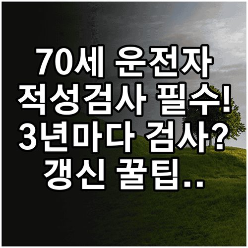 70세 이상 운전면허 갱신 방법과 3년마다 적성검사