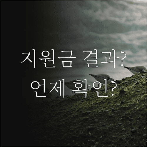 한부모가족 지원금 결과는 언제 확인할 수 있을까?